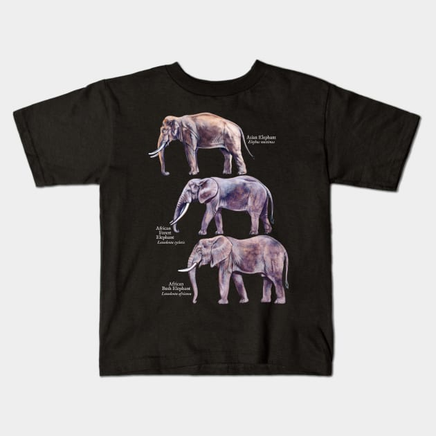 Elephant Species Identification Guide Kids T-Shirt by Pip Tacla